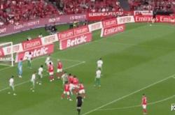  葡超波尔图直播 -蜂鸟电竞官网